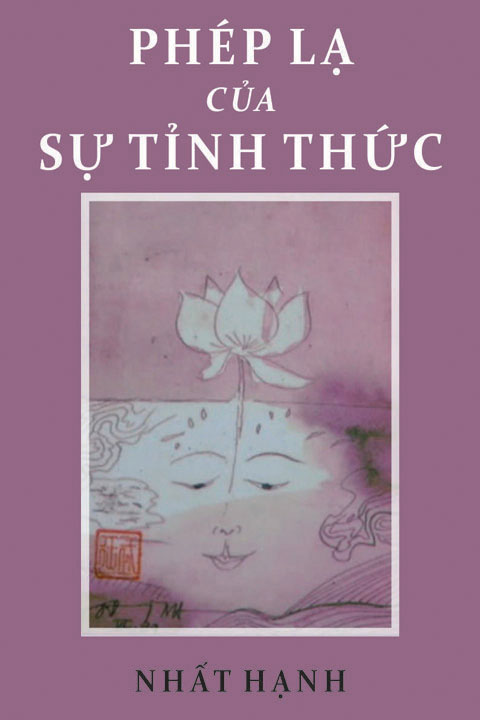 Phép Lạ Của Sự Tỉnh Thức: Hạnh Phúc Nằm Trong... Chậu Rửa Bát