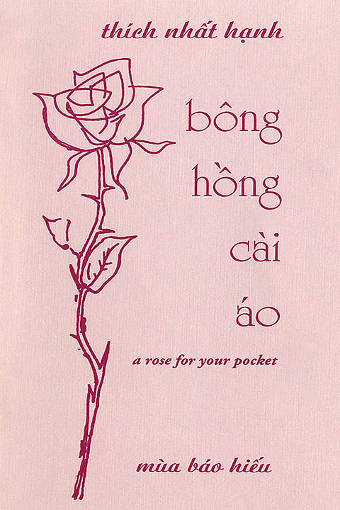 Bông Hồng Cài Áo